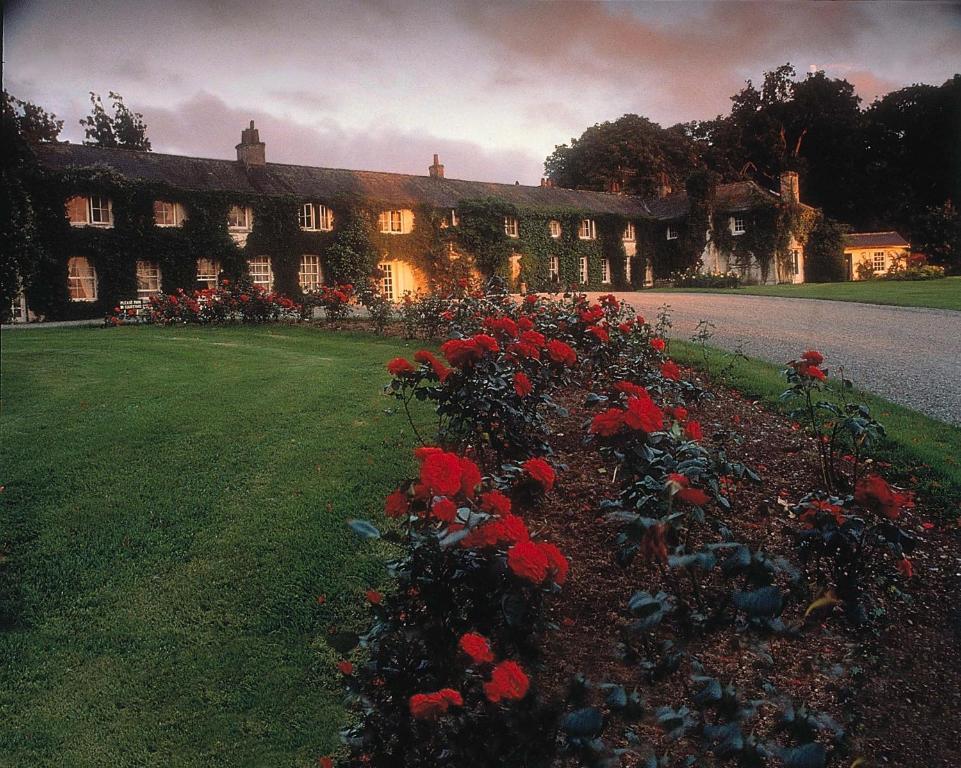 Rathsallagh Country House Hotel Extérieur photo